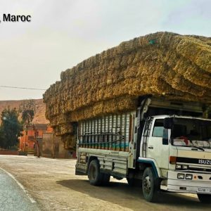 chargement spectaculaire : camion transportant un nombre impressionnant ballots de paille