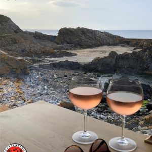 vue depuis la porte latérale d'un camion aménagé sur deux verres d'apéritif avec un beau paysage marin en arrière-plan